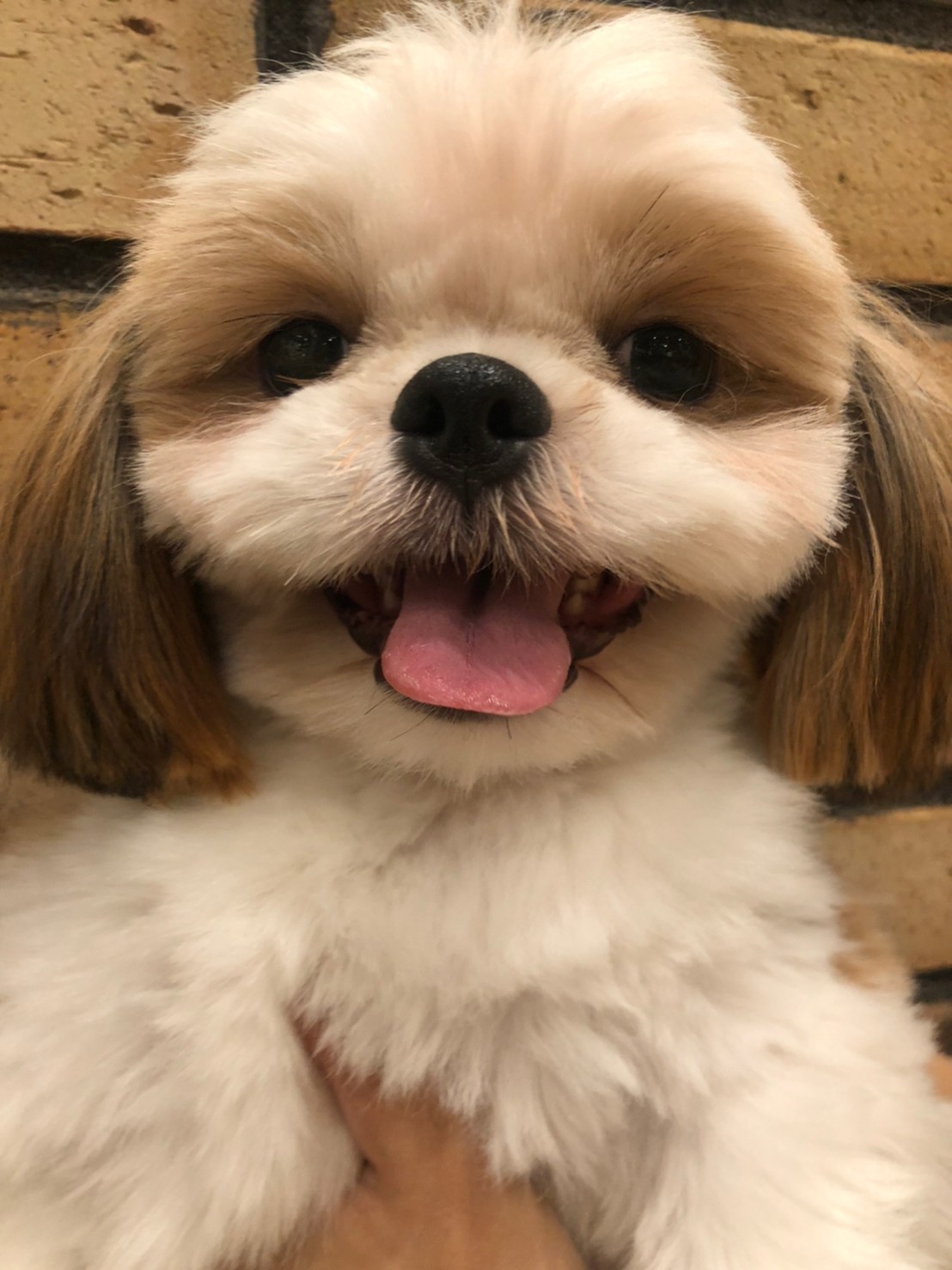 ティファニー